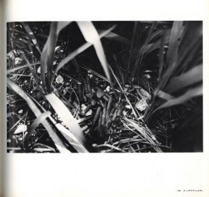 「日本の忘れもの / 近藤誠宏」画像7