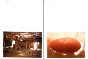 「GABRIEL OROZCO: INNERCYCLES / Gabriel Orozco」画像5