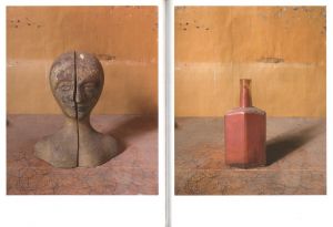 「JOEL MEYEROWITZ　WHERE I FIND MYSELF / Joel Meyerowitz」画像1