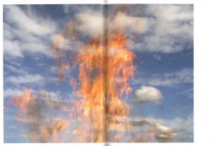 「JOEL MEYEROWITZ　WHERE I FIND MYSELF / Joel Meyerowitz」画像3