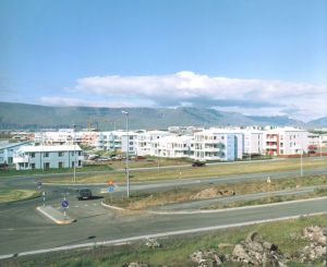 「ハイパー・バラッド　極北の郊外風景 / 写真：ホンマタカシ　デザイン：マイク・ミルズ」画像2