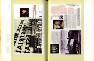 「typographics 2 cybertype / Roger Walton」画像2