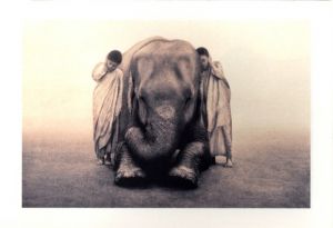 「Ashes and Snow Tokyo Exhibition Catalog / グレゴリー・コルベール」画像2