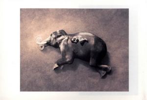 「Ashes and Snow Tokyo Exhibition Catalog / グレゴリー・コルベール」画像3