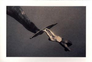 「Ashes and Snow Tokyo Exhibition Catalog / グレゴリー・コルベール」画像5