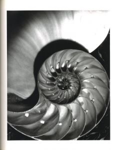 「FORM HORST / Horst P. Horst」画像2