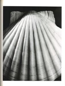 「FORM HORST / Horst P. Horst」画像4