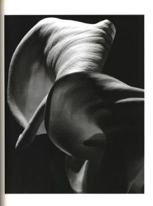「FORM HORST / Horst P. Horst」画像6