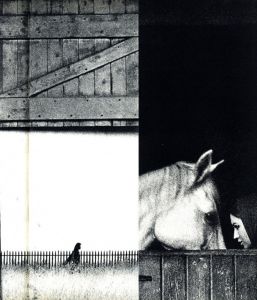 「November girl / Sam Haskins」画像8