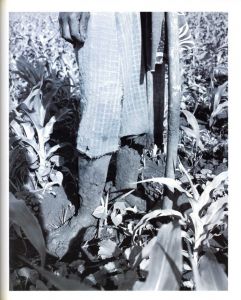 「FARM / Jackie Nickerson」画像3