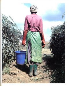 「FARM / Jackie Nickerson」画像6