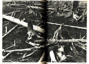 「日本の風景 / 緑川洋一」画像9