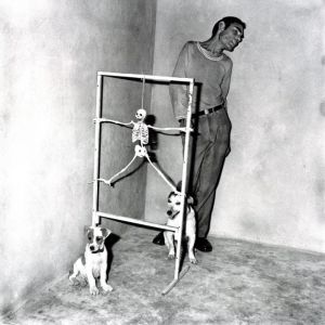 「Outland / Roger Ballen」画像8