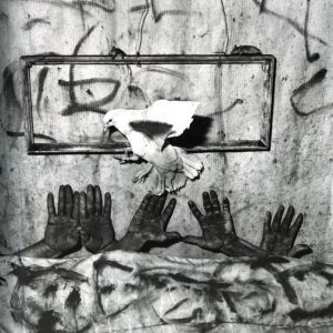 「ASYLUM OF THE BIRDS / Roger Ballen」画像2