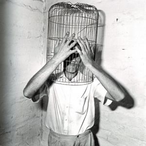 「ASYLUM OF THE BIRDS / Roger Ballen」画像3