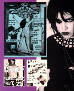 「Fucked Up + Photocopied / Author: Bryan Ray Turcotte, Christopher T Miller」画像2