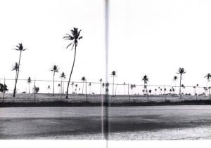 「ISLANDS / 浅井慎平」画像4