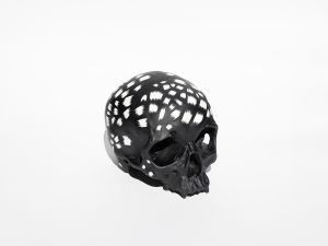 「SKULL 09 / 丸岡和吾　KENSEI YABUNO」画像7