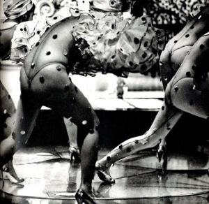 「踊り子 / 著：稲村隆正」画像4