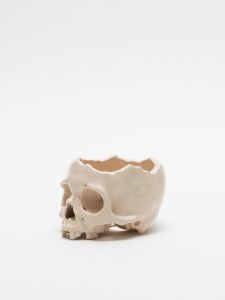 「植木鉢  IVORY / 丸岡和吾」画像3