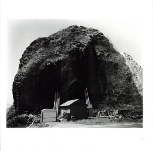 「日本典型 / 柴田敏雄」画像5