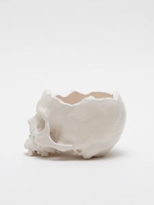 「植木鉢  WHITE / 丸岡和吾」画像5