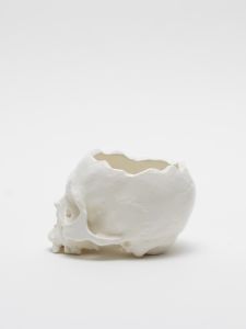 「植木鉢  WHITE / 丸岡和吾」画像5
