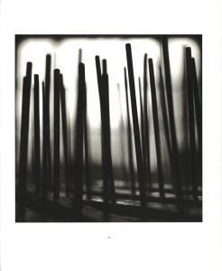 「CALAIS LACE / Michael Kenna 」画像5