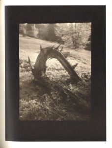 「Mionsi Forest / Josef Sudek」画像1