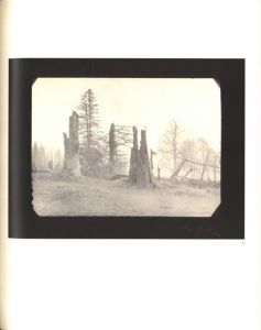 「Mionsi Forest / Josef Sudek」画像2