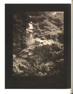 「Mionsi Forest / Josef Sudek」画像3