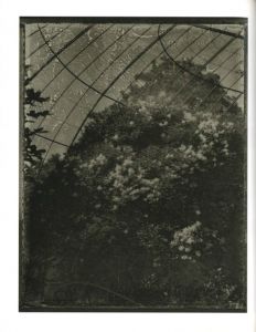 「Alchimie / Sarah Moon 」画像1