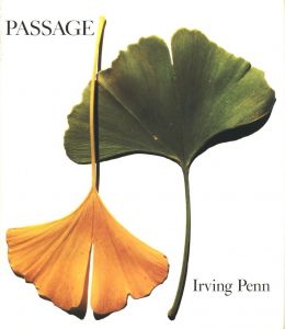 「PASSAGE / アーヴィング・ペン」画像1