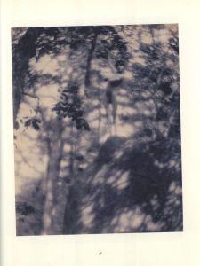 「Suffering The Ideal / F. Holland Day」画像4