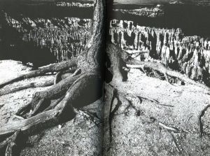 「Orbit / Renato D'Agostin」画像4