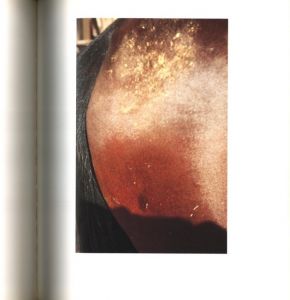 「Horses and Dogs / William Eggleston」画像2