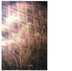 「mind encode | nagare satoshi / 永禮賢」画像3