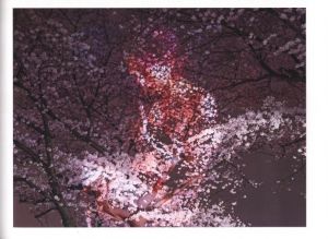 「洋子 / フォトグラファーハル」画像1