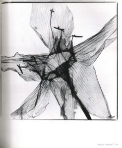 「Beat2 / 吉田昭二」画像2