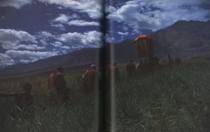 「藤原新也　印度拾年 / 著：藤原新也」画像2