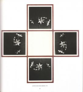 「ALTARS / Robert Mapplethorpe　」画像4