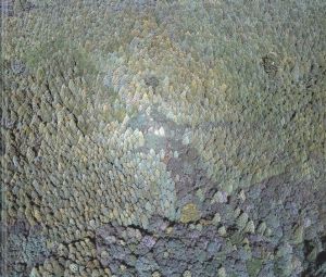 「JP-22 / 著：松江泰治　文：清水穰」画像8