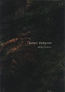 hotel pegasusのサムネール