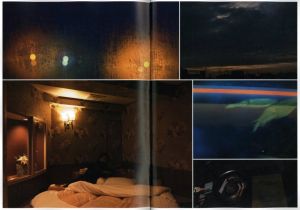 「hotel pegasus / 著：野村佐紀子」画像1