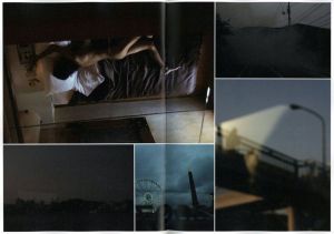 「hotel pegasus / 著：野村佐紀子」画像3