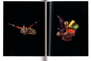 「Collection / 内倉真一郎」画像5