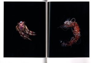 「Collection / 内倉真一郎」画像6