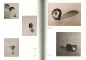 「岡上淑子全作品 / 岡上淑子」画像3