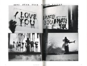 「FLAMINGO The Hasselblad Award 1996 / Author: Robert Frank」画像1