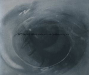 汚名　アルフレッド・ヒッチコックと現代美術展目 / 編：大島賛都他
